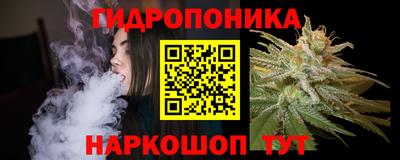 МДПВ Канаш