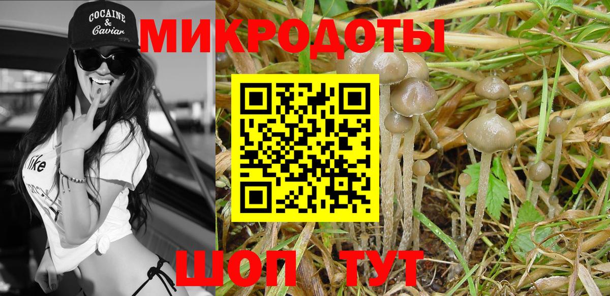 Псилоцибиновые грибы прущие грибы  Вход с VPN  Красный Сулин 